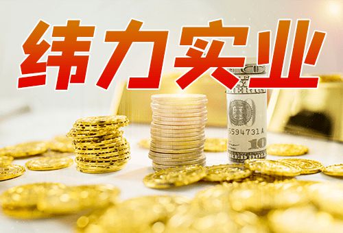 緯力實業投資分析 優勢與多元化投資方式解析